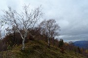 46 Sul sent. 531 salendo alla cima del Monte Costone